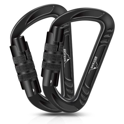 BEIFENG Heavy Duty Lightweight Locking Carabiner Clips D Ring for Camping Hiking Outdoor Gym etc, Carabiner with Lock Small Carabiners for Dog Leash & Harness (Auto Locking Black-2Pcs)