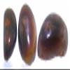 26.60 Carat 3 Freeform Preform Slaughter Mountain Arizona Fire Agate Cabochon view 2