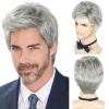 DDHAIR Men's Wig Short Silver Grey Wig Men Natural Layered Synthetic Hair Wigs for Man Male Guy Daily Halloween view 1