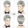 DDHAIR Men's Wig Short Silver Grey Wig Men Natural Layered Synthetic Hair Wigs for Man Male Guy Daily Halloween view 4