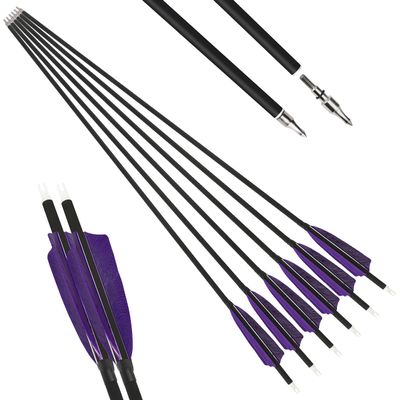 HNZMDY Archery Carbon Arrow Spine 500 Hunting Target Practice Arrows 28 30 31 Inch with Removable Tips for Compound & Recurve Bow 6/12PCS (28 inch/12 pcs, Purple)