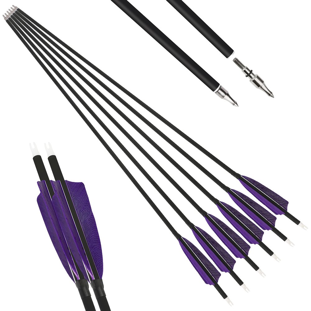 HNZMDY Archery Carbon Arrow Spine 500 Hunting Target Practice Arrows 28 30 31 Inch with Removable Tips for Compound & Recurve Bow 6/12PCS (28 inch/12 pcs, Purple)