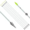 OBTOUTDOOR 6 PCS/12PCS 36 Inch Bowfishing Arrows 8mm Fishing Arrow Fiberglass Arrow with Broadhead for Slingshot Archery Hunting Fishing (6 PCS) view 1