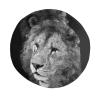 Cool Lion Bucket Hat Animal Bucket Hat Boys Hat Fisherman Hat Sun Hat for Women Men view 4
