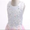 Weileenice Blush Pink Flower Girl Dress 11 12 Junior Lace Bridesmaid Wedding Formal Party Birthday Rainbow Tulle Dresses Embroidery Girls Holiday Pageant Photo Shoot Gowns Kid Princess Tutu Gown view 2