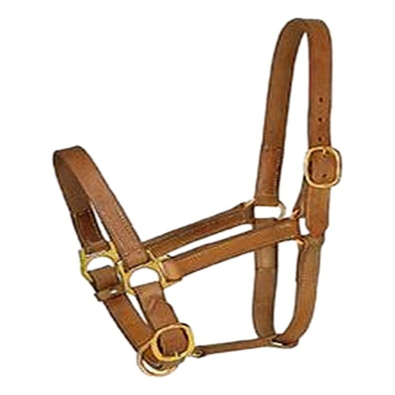 Professionals Choice 1in Average Horse Harness Leather Turn Out Halter