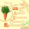Ready Harvest Dehydrated Food - Carrots | Emergency Food | Dried Vegetables | #10 Can | 25-Year Shelf Life | 3 lbs | Cans Filled to the Top view 3