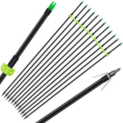 6/12Pcs Bow Fishing Arrows 8mm Fiberglass Arrow with Nock and Safety Slide Fishing Arrows for Outdoor Hunting Fishing (12PCS)