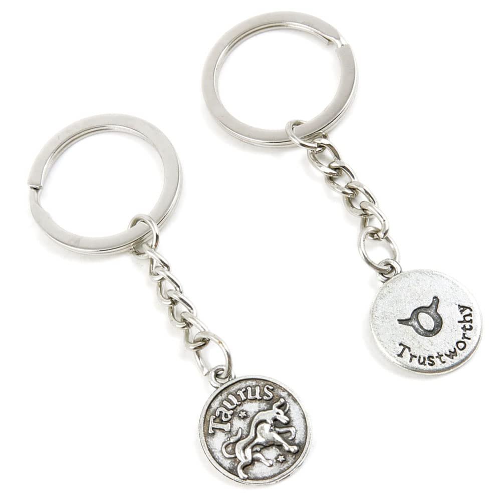 10 Pieces Keychain Keyring Door Car Key Chain Ring Tag Charms Supplies D1FU0D Taurus Tag