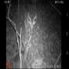 Wildgame Innovations Kicker Lightsout 18MP Trail Camera and Trail Pad Image Viewer Combo view 2