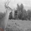 Wildgame Innovations Kicker Lightsout 18MP Trail Camera and Trail Pad Image Viewer Combo view 3