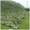 Suwooy Camo Netting for Hunting,Camouflage Shade Sail Net,Military Net,Light and Durable,Camping,Army,Decoration,Car Cover,Sunscreen Camouflage Net,Camouflage Accessories,Jungle-3x3m(9.8 * 9.8ft) view 1