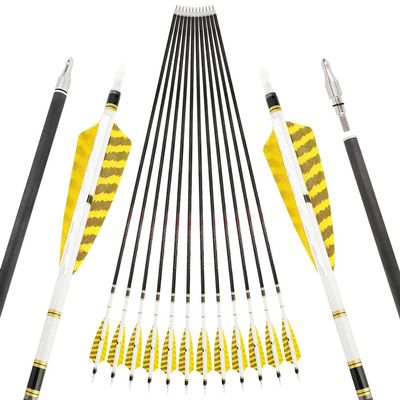 ZSHJGJR 31" Pure Carbon Arrows 250 300 350 400 500 600 Spine Hunting Arrows Feather Fletched Target Practice Arrows for Archery Compound & Recurve & Long Bow 6/12pcs (350 Spine, 12)