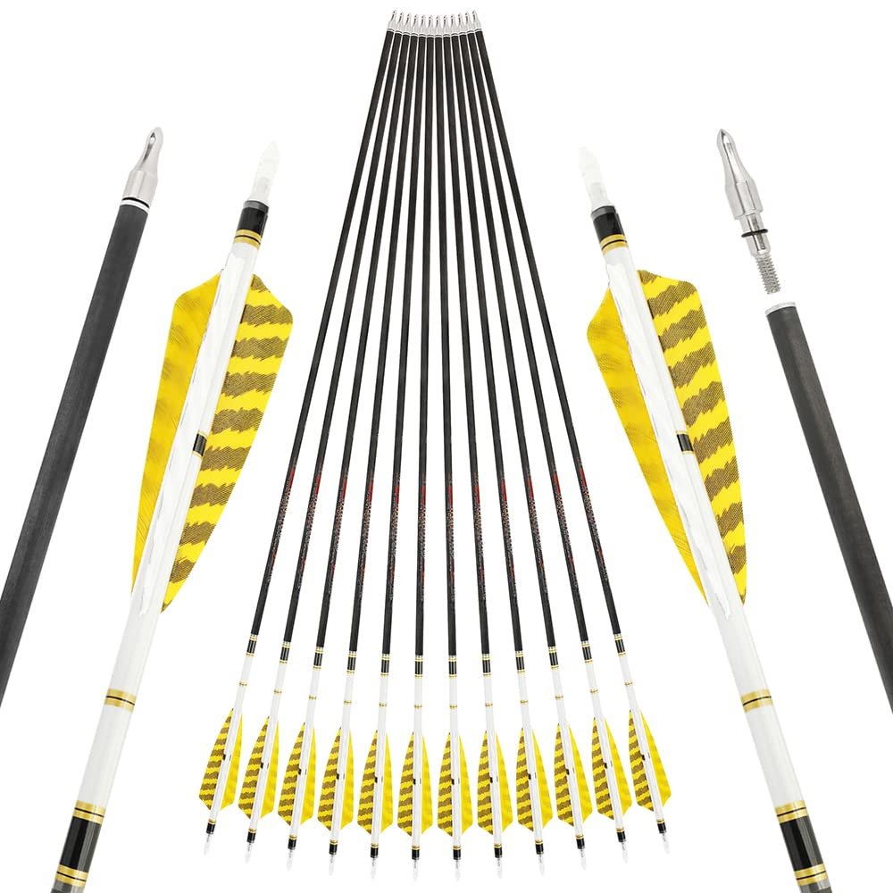 ZSHJGJR 31" Pure Carbon Arrows 250 300 350 400 500 600 Spine Hunting Arrows Feather Fletched Target Practice Arrows for Archery Compound & Recurve & Long Bow 6/12pcs (350 Spine, 12)