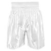 Title Boxing Edge Boxing Trunks 2.0 Size X-Large White view 3
