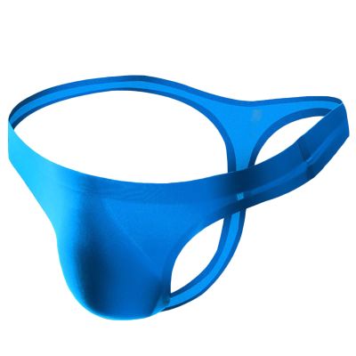Ctreela Seamless T-Back for Men's Bulge Ball Pouch G-String Sexy One Piece Thong String Bikini Low Rise Underwear Blue