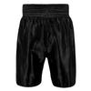 Title Boxing Edge Boxing Trunks 2.0 Size XX-Large Black view 3