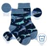 Stephen Joseph, Toddler Kids Boys Girls Unisex Non-Slip Fashion Cotton Crew Socks, Navy Shark, Medium US view 3