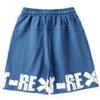 BINPAW Boys Shorts Drawstring Waist Cotton Athletic Casual Sweat Shorts, Blue, 4-5T(4-5 Years) = Tag 120 view 2