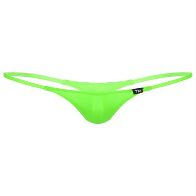 easyforever Men's Sheer Mesh See Through Low Rise T-Back G-String Thongs Bikini Briefs Underwear Green Type A Large
