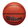 WILSON Signature Series Indoor/Outdoor NBA Basketball - Size 7 view 4