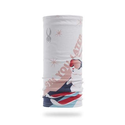 Spyder Boys Cruise Tube Neck Warmer