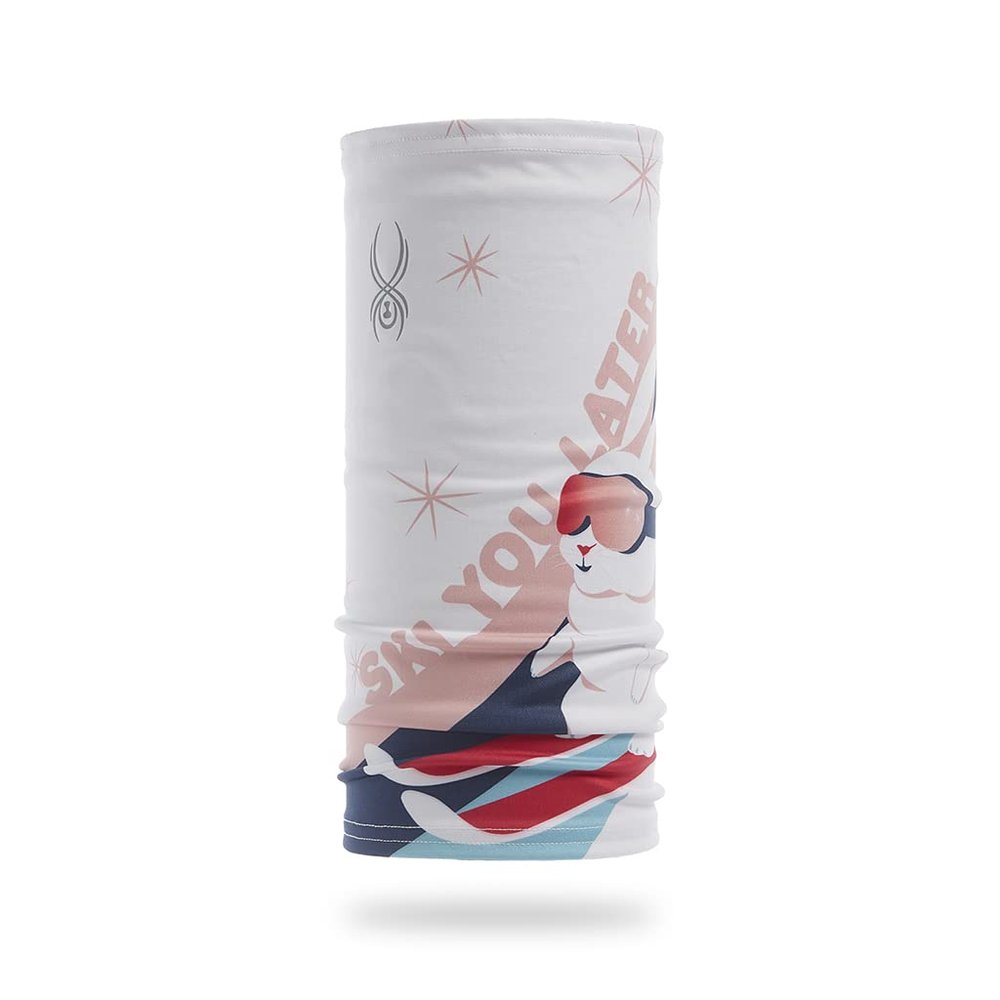 Spyder Boys Cruise Tube Neck Warmer