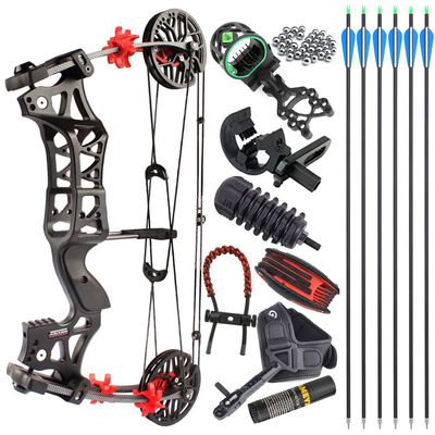 ZSHJGJR Archery M109E Compound Bow Steel Ball Catapult Hunting Dual-Purpose Compound Bow Set 30-60lbs Bowfishing Bow Right/Left Hand (Right Hand, Bow Set 2)