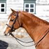 Equinavia Valkyrie Fancy Stitched Padded Pony Bridle with Hunter Style - Chocolate Brown - Pony view 3