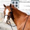 Equinavia Valkyrie Fancy Stitched Padded Pony Bridle with Hunter Style - Chocolate Brown - Pony view 4