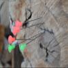 Black Rhino Blowguns 50 Caliber Blowgun Target Wire Darts 50 pcs Neon view 3