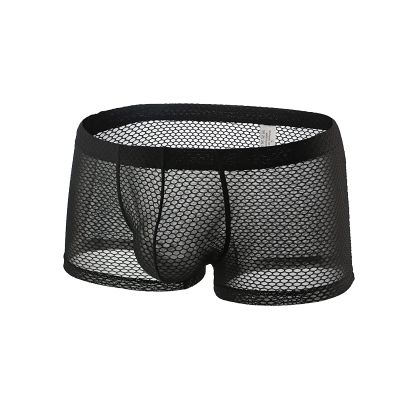 Ctreela Sexy Lingerie for Men Mesh See-Through Boxer Brief Fishnet Underwear Booty Shorts Solid Dual Pouch Underpants Black