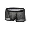 Ctreela Sexy Lingerie for Men Mesh See-Through Boxer Brief Fishnet Underwear Booty Shorts Solid Dual Pouch Underpants Black view 1