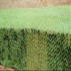 LGLFDJ Green Camo Netting Roll Lightweight, Reusable Sunshade Camouflage Netting, Military Decoration Background Camo Net, Outdoor Camping Hunting Blinds (Size : 2X5m(6.5ft X 16ft)) view 1