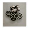 2Pcs 6001 6001 2RS Bike Hybrid Ceramic Bearing 12x28x8mm Bicycle Bottom Brackets Spares 6001RS Si3N4 Ball Bearings Accessories view 2