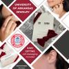 Stone Armory Earrings for University of Arkansas Jewelry Gifts for Women, Graduation  Stainless Steel Skin-Friendly Arkansas Razorbacks stud earrings view 3