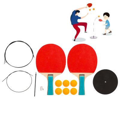 HURRISE Table Tennis Balls Paddles Set, Paddle Set with Balls, Table Tennis Trainer with Elastic Shaft Stainless Steel Base, 6 Self Training Balls 2 Paddles