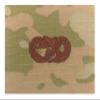 AIR FORCE TRANSPORTATION (BASIC) OCP SPICE BROWN SEW-ON view 1