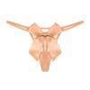 Women Sexy Embroidered Mesh Sheer Thong Panties T Pants Bow Tie Low Waist Plus Size 20 for 25 Panties (Beige, XXL) view 2