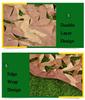 LGLFDJ Oxford Fabric Desert Hunting Camouflage Netting, Woodland Camo Netting Bulk Roll, Lightweight Sunshade Shooting Duck Hunting Cover, for Garden Pergola (Size : 3X6m(10ft X 20ft)) view 3