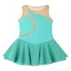Daenrui Kids Girls Ice Figure Skating Dress Leotard Sparkle Rhinestone Sleeveless Mesh Splice Tutu Skirts Dancewear Green 10 Years view 3
