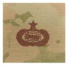 AIR FORCE INTELLIGENCE (SR) SPICE BROWN SEW-ON OCP view 1