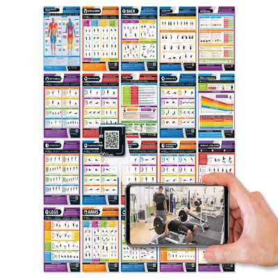 Gym Workout Posters - Set of 20 - EXTRA LARGE 33" x 23.5" - Laminated - Muscle Groups Gym Poster - Includes Video Training Support - Exercise Posters - Home Workout Charts