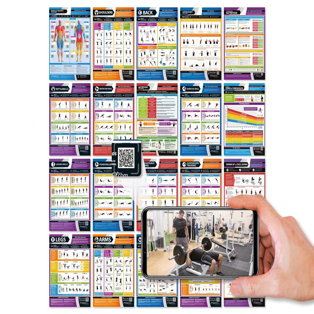 Gym Workout Posters - Set of 20 - EXTRA LARGE 33" x 23.5" - Laminated - Muscle Groups Gym Poster - Includes Video Training Support - Exercise Posters - Home Workout Charts