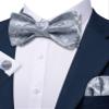 Barry.Wang Self Tie Bow Ties for Men Silver Bow Tie and Pocket Square Cufflinks Set Paisley Flower Bowtie Wedding Tuxedo view 3