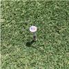 American Flag Wood Golf Tees - 2 3/4 inch 100 tees per Pack - USA Golf Tees - Red, White, and Blue - American Flag in Tee Cup - Value Pack - Custom Design - Golf Essentials - view 4