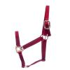 Jeffers Premium Nylon Horse Halters, 600-900 lb (3-ply, 1") view 1