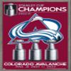 Trends International NHL Colorado Avalanche - 2022 Commemorative Stanley Cup Team Logo Wall Poster, 14.725" x 22.375", Barnwood Framed Version view 1