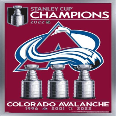 Trends International NHL Colorado Avalanche - 2022 Commemorative Stanley Cup Team Logo Wall Poster, 14.725" x 22.375", Silver Framed Version