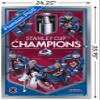 Trends International NHL Colorado Avalanche - 2022 Commemorative Stanley Cup Champions Wall Poster, 22.375" x 34", Silver Framed Version view 3